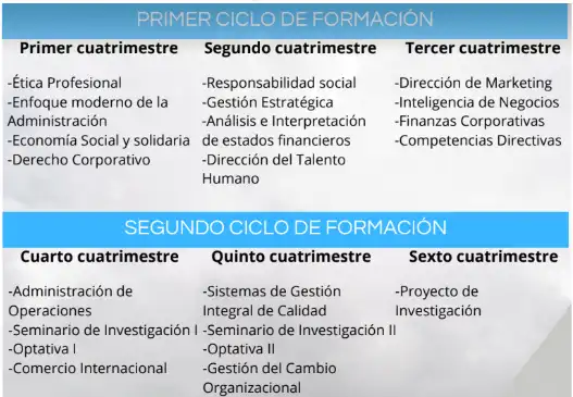 Mapa curricular